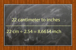 22 cm to inches