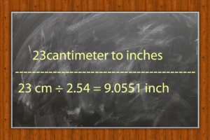 23 cm to inches